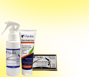 Dermacton shampoo sales