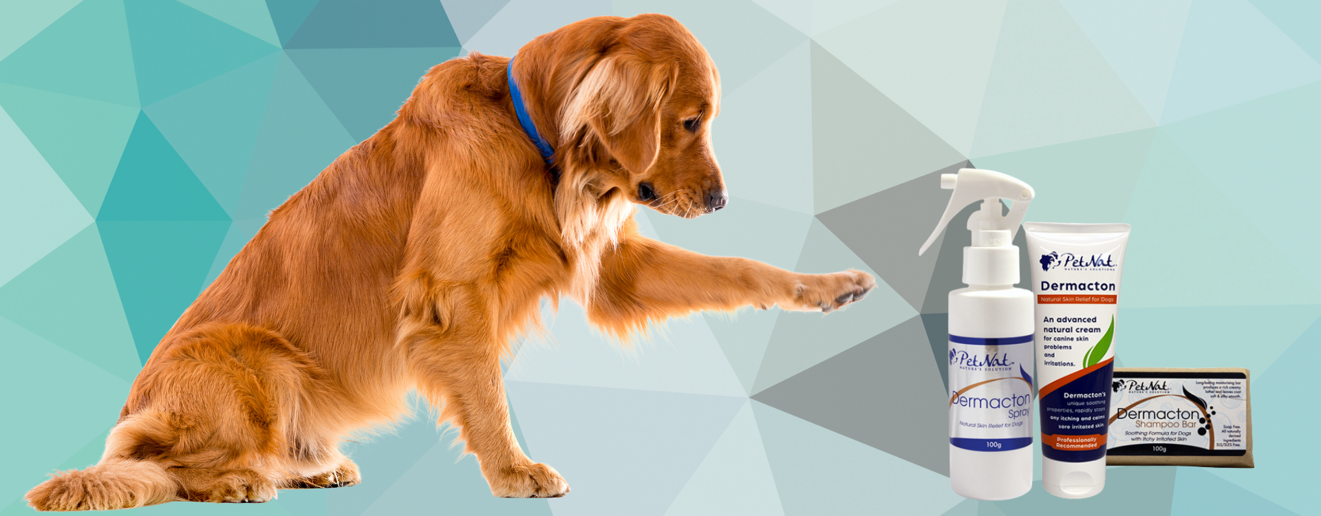 Petnat dermacton cream 2024 for itchy dogs